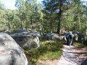 2014-06-05 17-23-25 Foret de Fontainebleau FGn